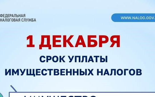  НАЛОГИ